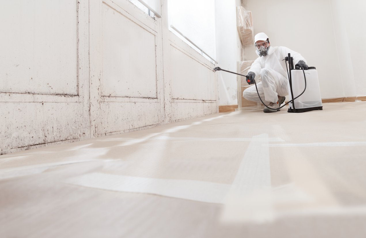 Mould Remediation Specialist